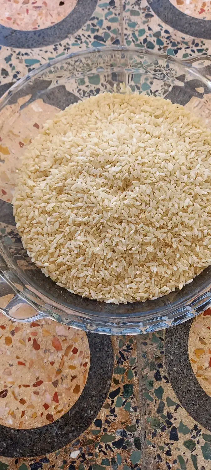 برنج چمپه و گرده (شهری)|خوردنی و آشامیدنی|یاسوج, |دیوار