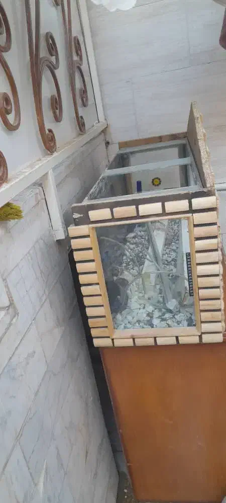 اکواریوم یک متری|ماهی|قم, نخودی|دیوار