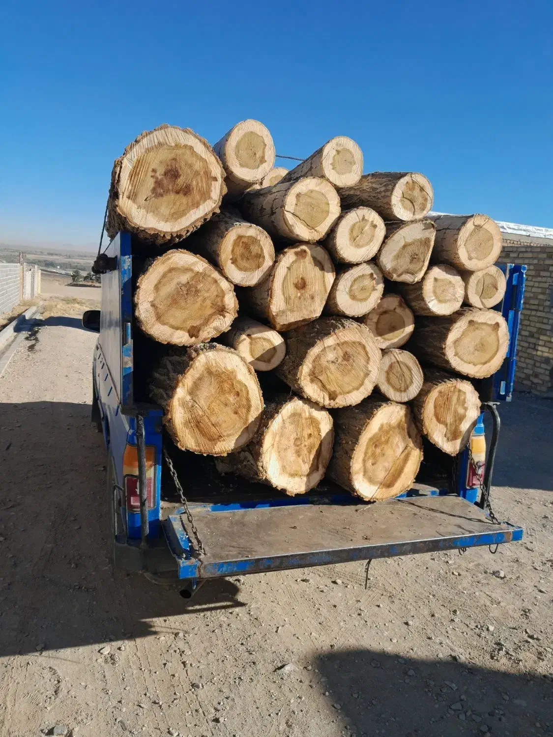 خرید چوب ودرخت|خدمات باغبانی و درختکاری|زنجان, |دیوار