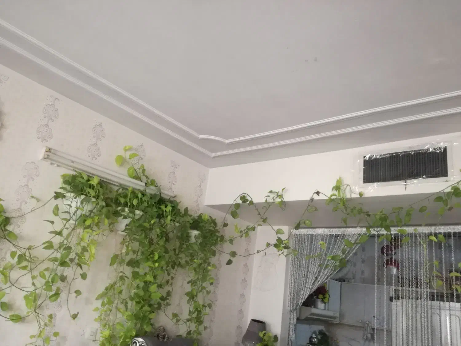 گل پتوس|گل مصنوعی|مشهد, یاس|دیوار