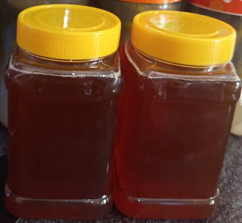 عسل خلخال اردبیل|خوردنی و آشامیدنی|باشت, |دیوار