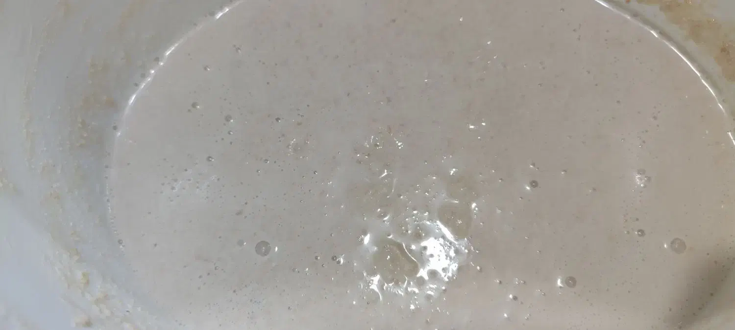 لبنیات|خوردنی و آشامیدنی|قم, محمد آباد|دیوار