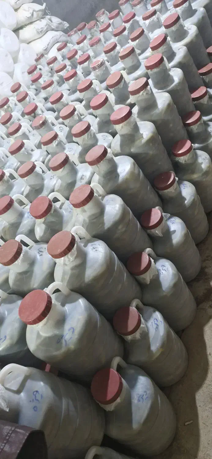 خیارشور سراب شربیان|عمده‌فروشی|مهربان, |دیوار