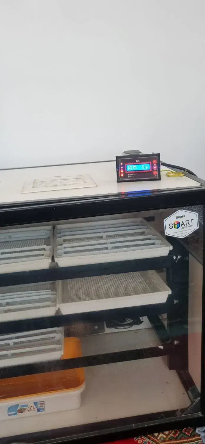 دستگاه جوجه کشی اسکندری|لوازم جانبی حیوانات|کردکوی, |دیوار