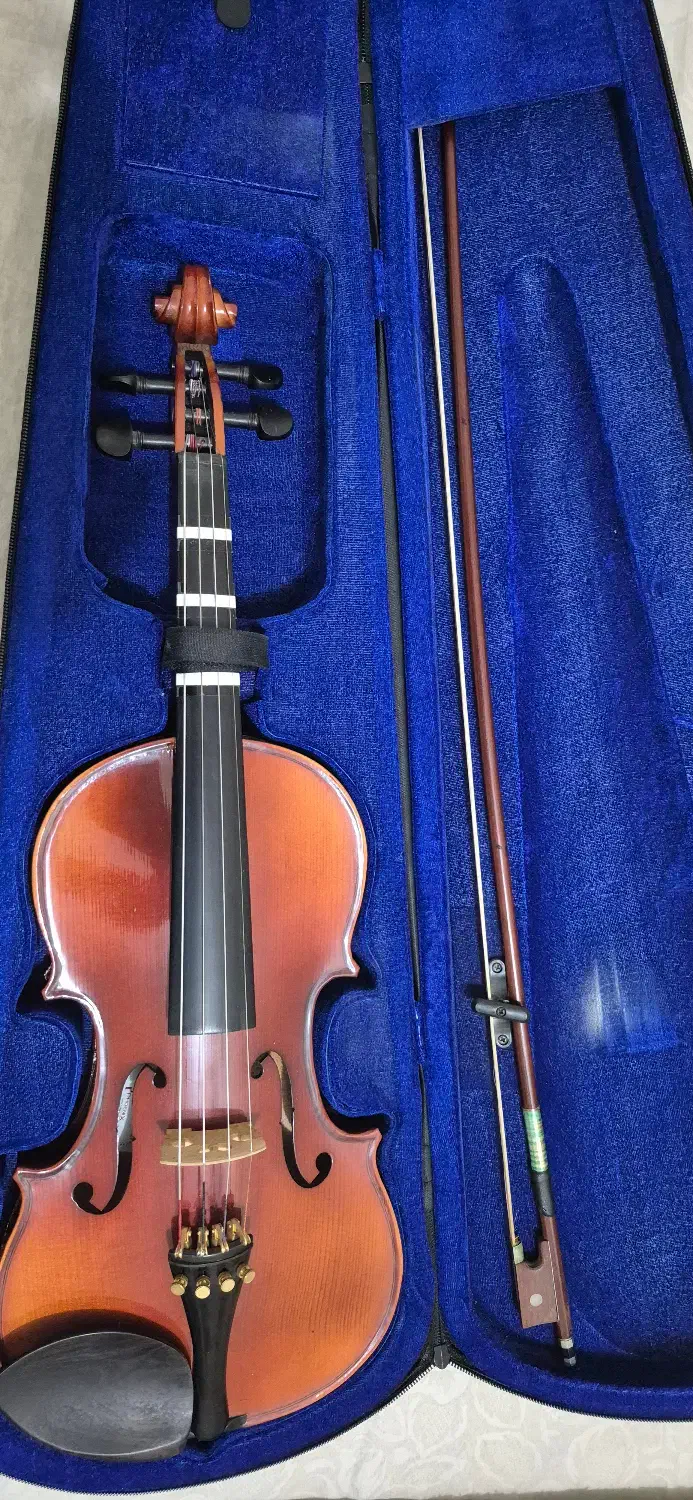 ویولن|ویولن|بابل, |دیوار