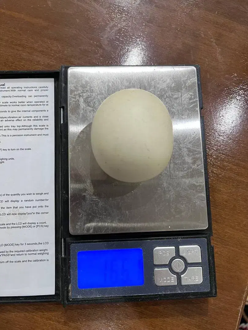 سنگ الماس آسیاب|جواهرات|تهران, گیشا|دیوار