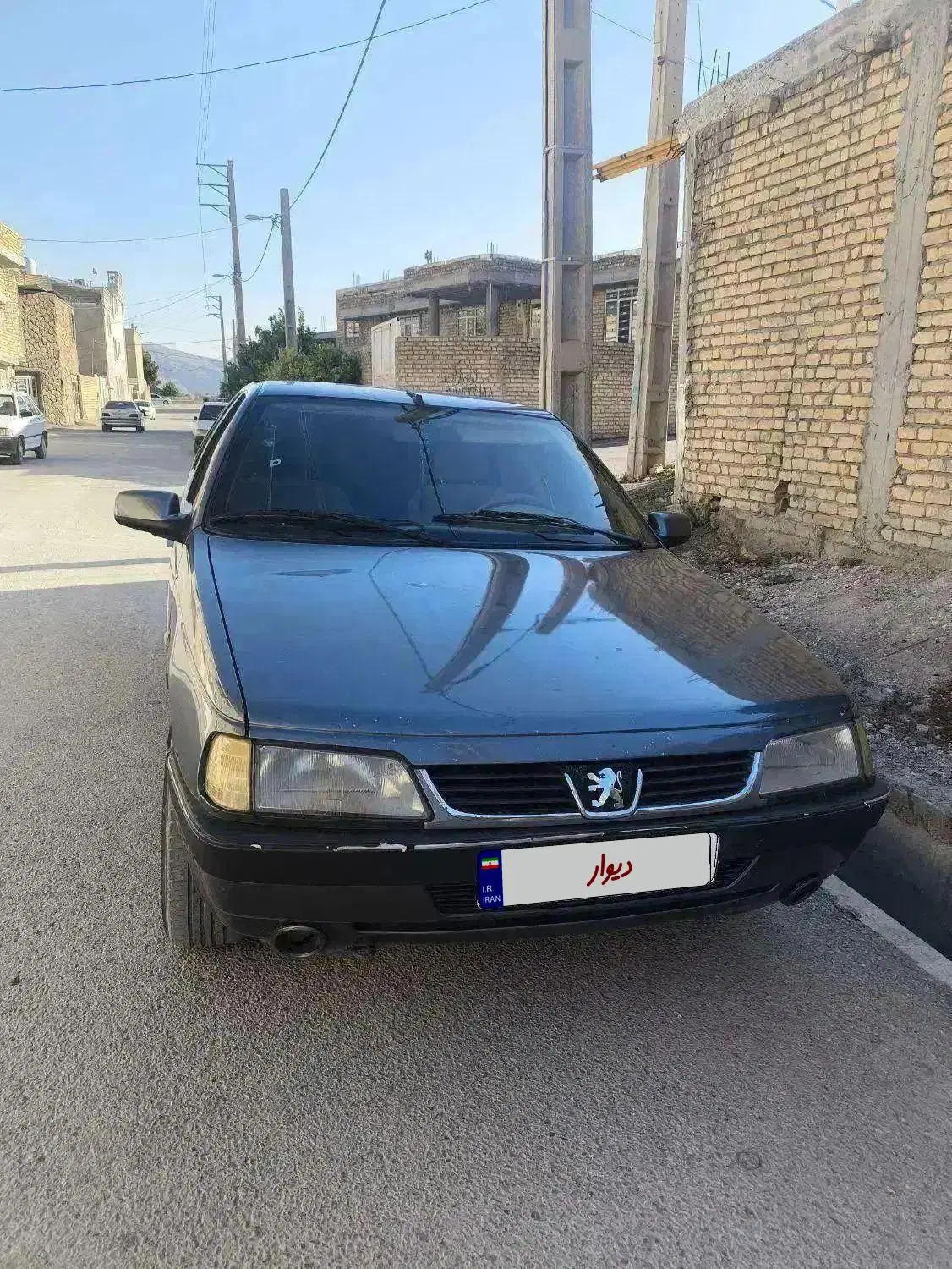 405slx|خودرو سواری و وانت|شیراز, محمدیه|دیوار
