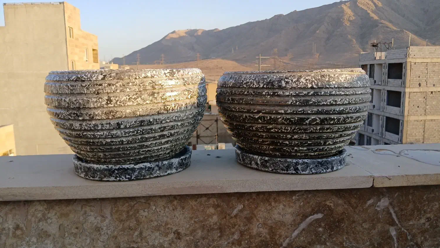 دو عدد گلدان سنگی|گل و گیاه طبیعی|تهران, مشیریه|دیوار