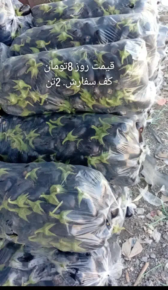 بادمجان9.فلفل15 خیار 21 خیار هشت خط 30ماهی تازه 80|خدمات باغبانی و درختکاری|بندرعباس, |دیوار