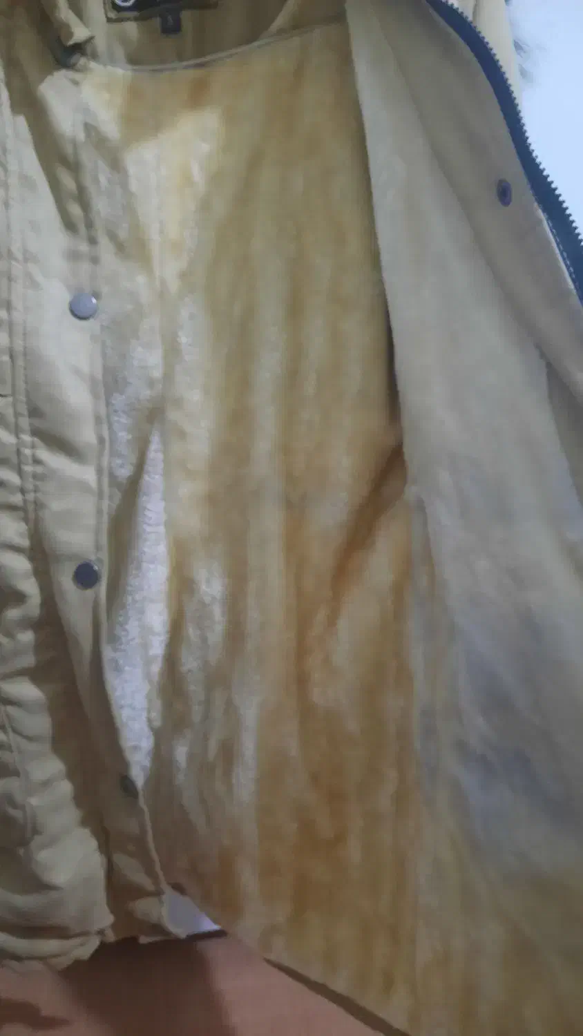 کاپشن زنانه|لباس|گلبهار, شهر جدید گلبهار|دیوار