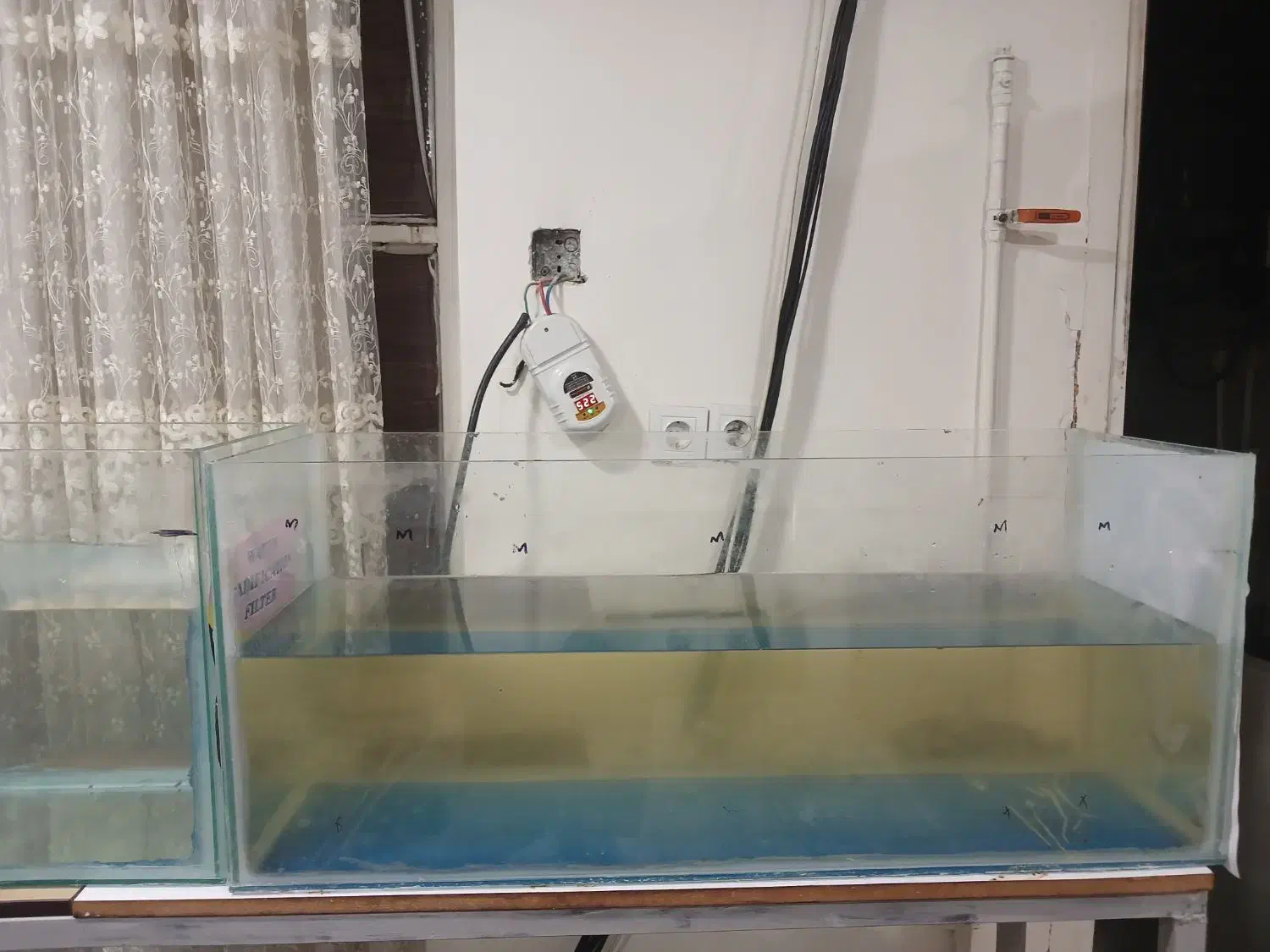 اکواریوم|ماهی|اهواز, کمپلو شمالی|دیوار