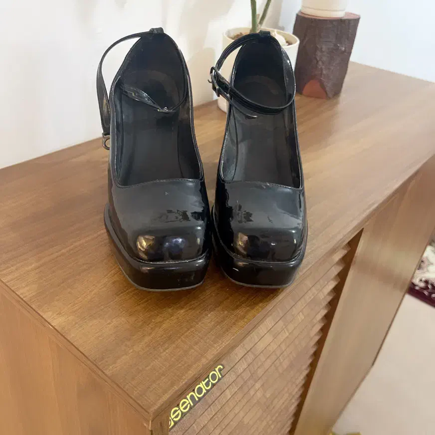 کفش مجلسی|کیف، کفش، کمربند|زابل, |دیوار