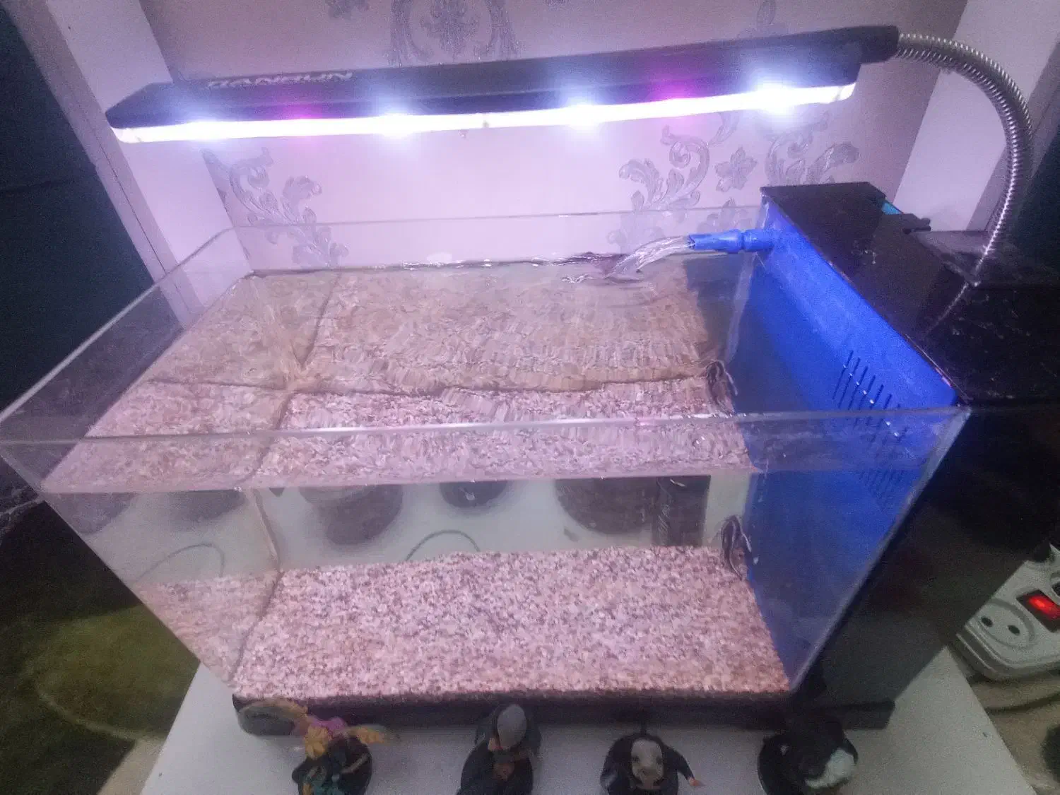 آکواریوم و ماهی|ماهی|قم, باغ کرباسی|دیوار