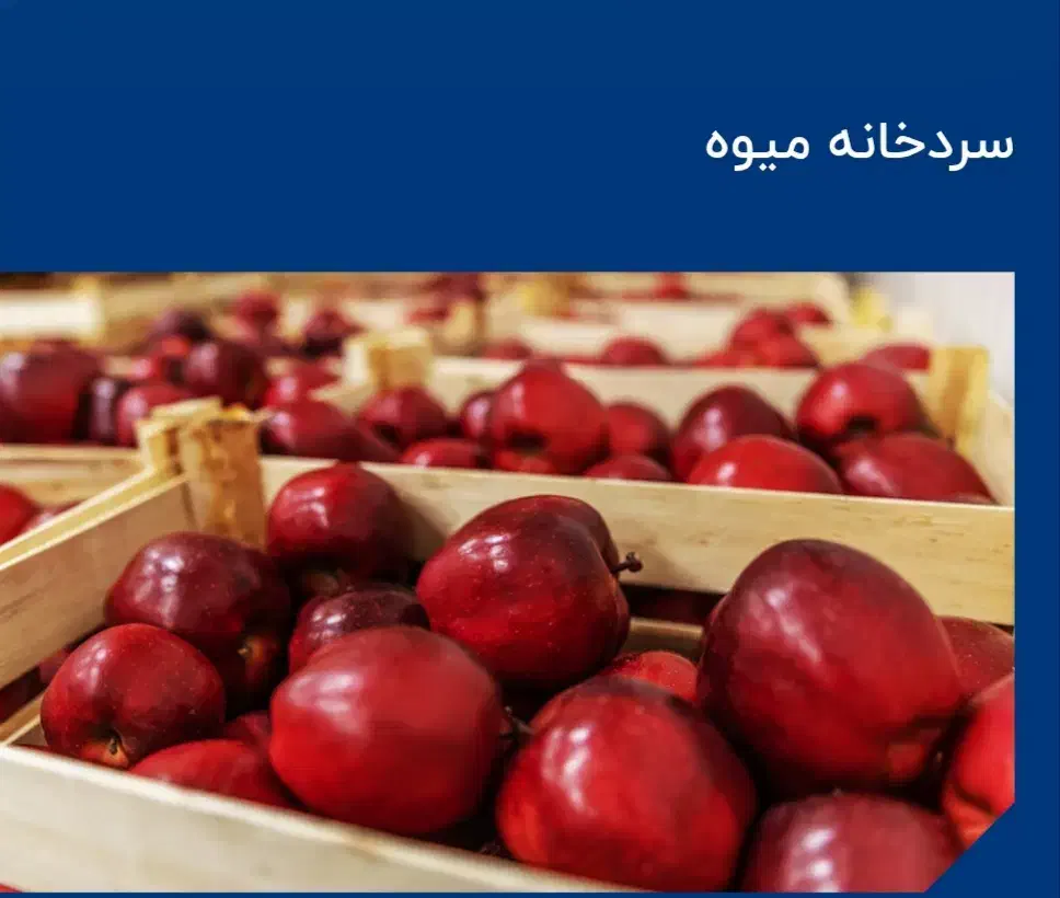 کار در سردخانه|استخدام صنعتی، فنی، مهندسی|سلماس, |دیوار