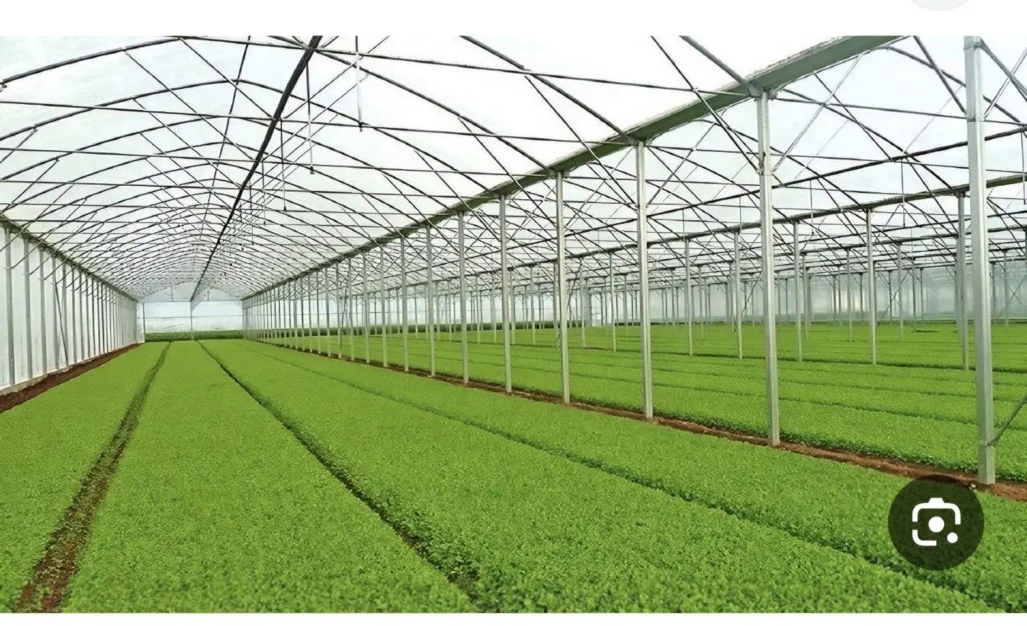 زمین گلخانه داخل شهرک گلخانه ای|فروش دفتر صنعتی، کشاورزی، تجاری|خرمدشت, |دیوار