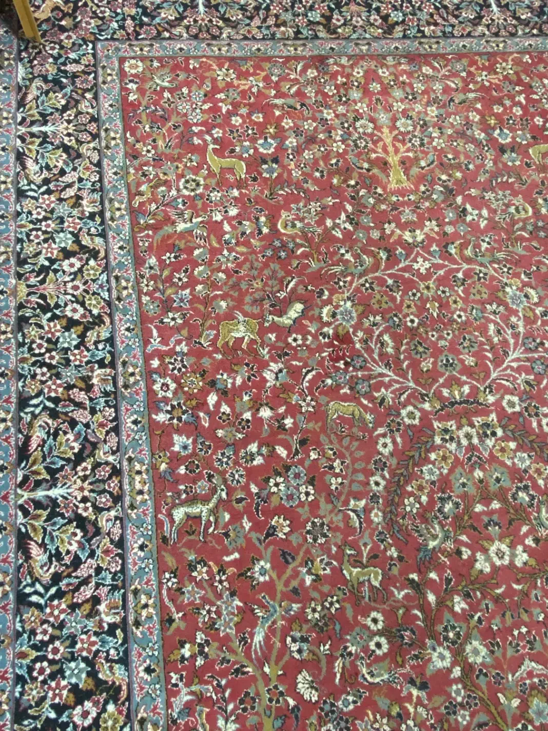 فرش۶ متری|فرش|گنبد کاووس, |دیوار