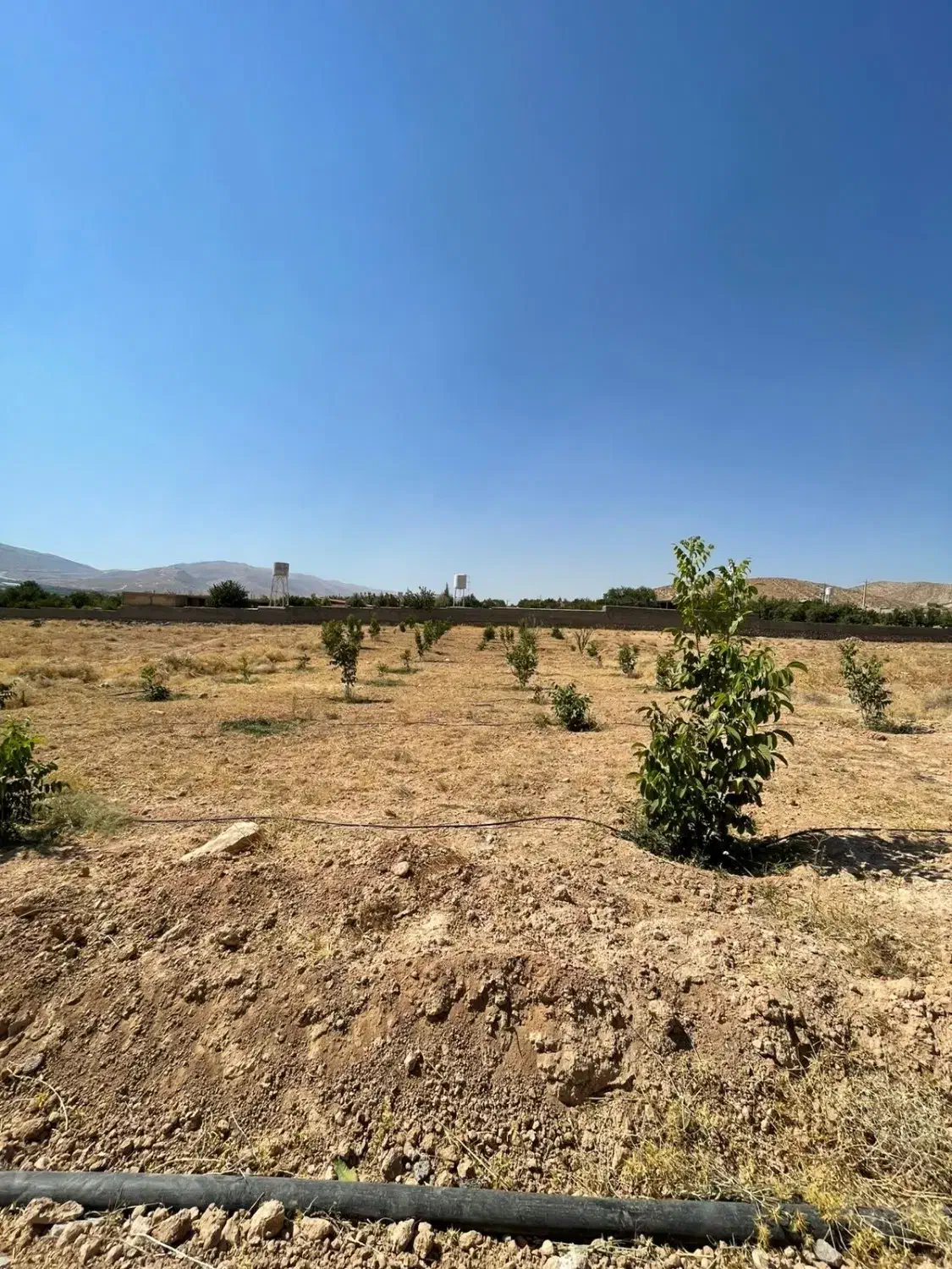 زمین باغشهری|فروش زمین و ملک کلنگی|بیضا, |دیوار