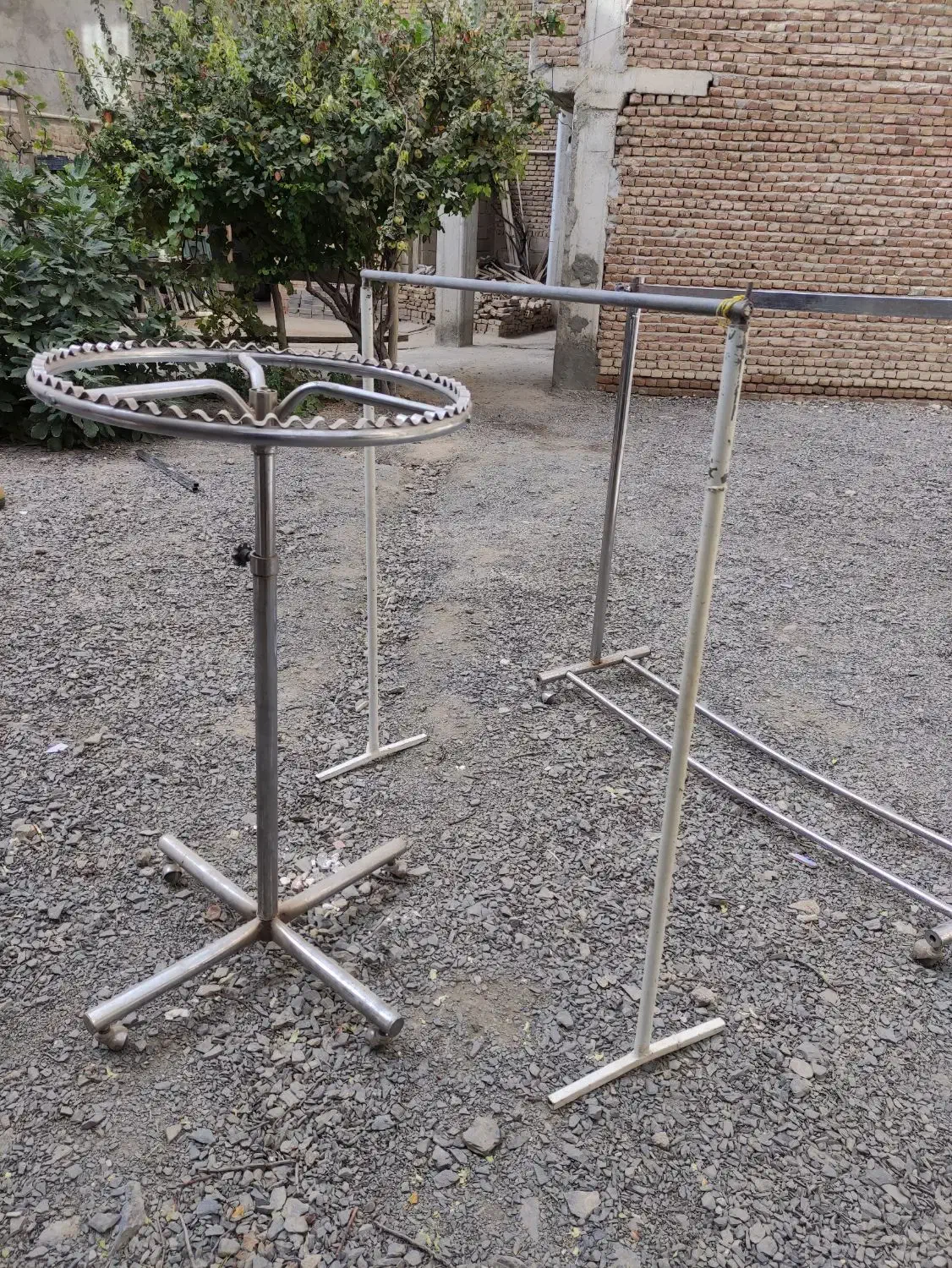 فروش رگال و شاخه تکی|فروشگاه و مغازه|چهاربرج, |دیوار