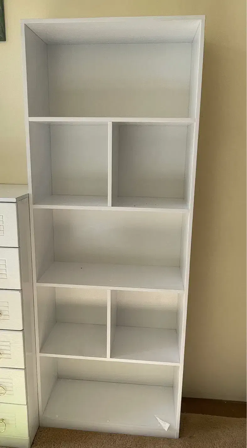 کتابخانه|کتابخانه، شلف، قفسه‌های دیواری|شیراز, اصلاح‌نژاد|دیوار