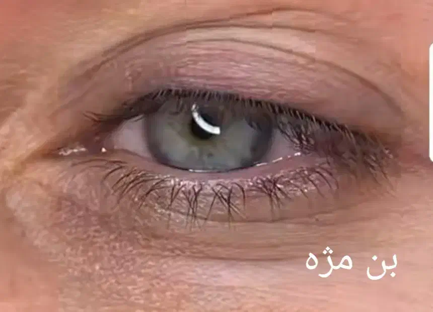 مدل رایگان   بن مژه و شید لب زیر نظر مربی حرفه ای|خدمات آرایشگری و زیبایی|تهران, تهرانپارس جنوبی|دیوار