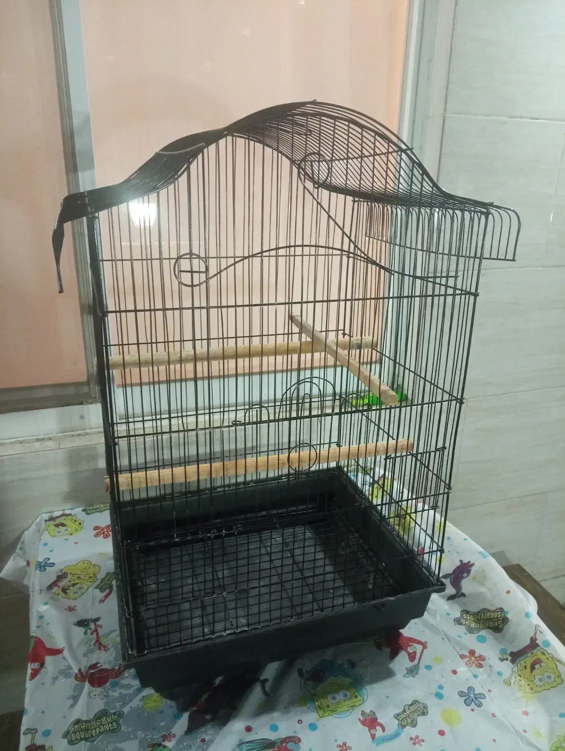 دو عدد قفس و یک پایه قفس|لوازم جانبی حیوانات|رشت, رشتیان|دیوار