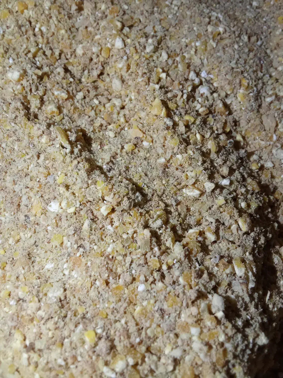 دان|حیوانات مزرعه|بیرجند, |دیوار