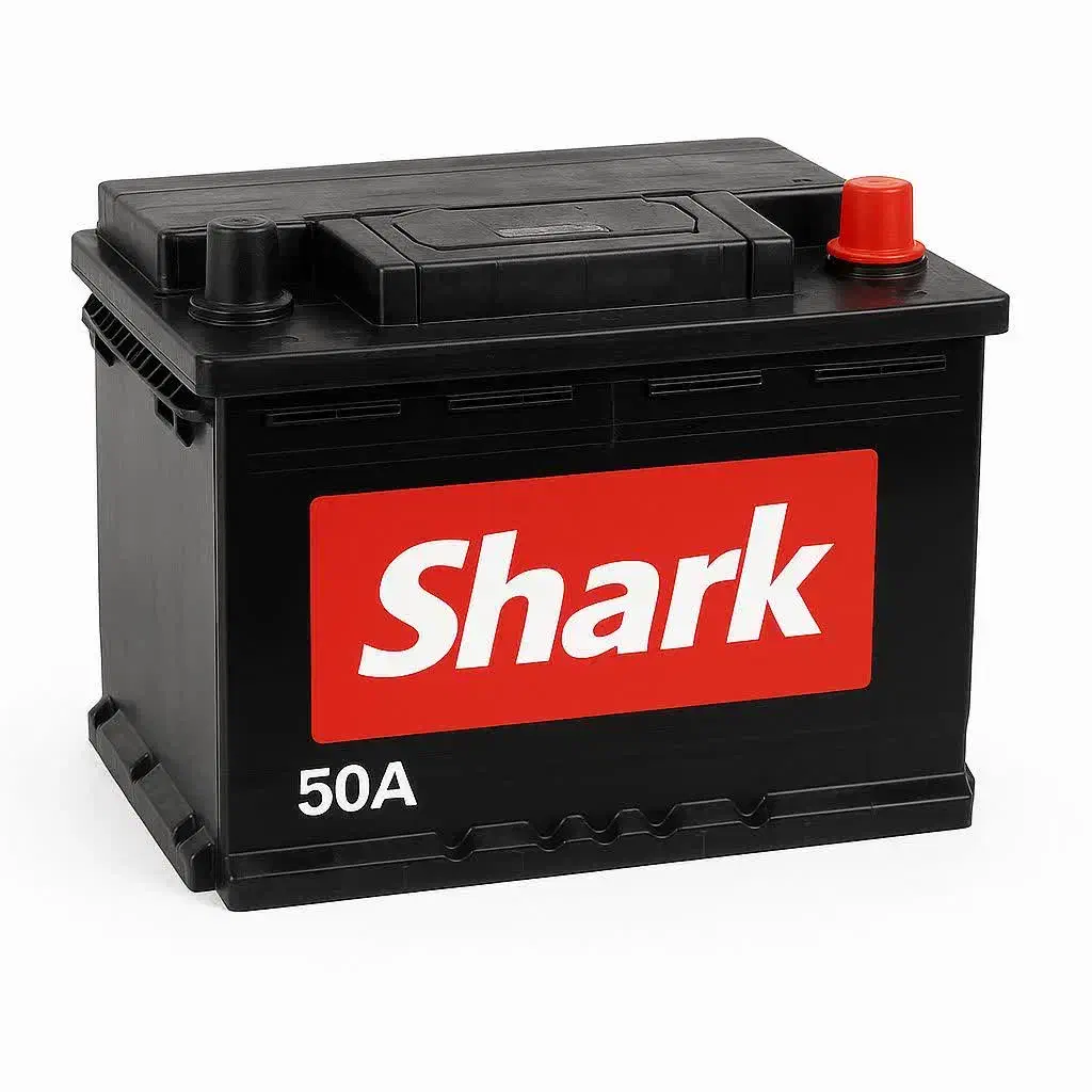 باطری پژو 405|قطعات یدکی و لوازم جانبی|بومهن, |دیوار