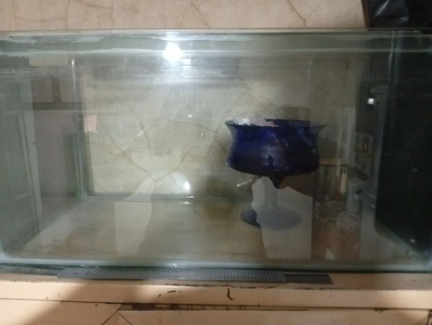 آکواریوم ماهی|ماهی|قرچک, مهدیه|دیوار