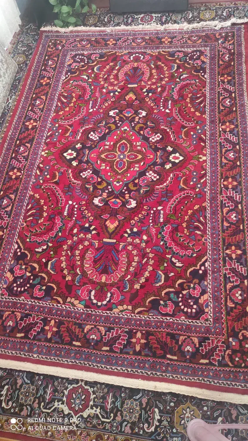 فرش ۶متری دست بافت|فرش|شاهین‌شهر, شهرک گلدیس|دیوار