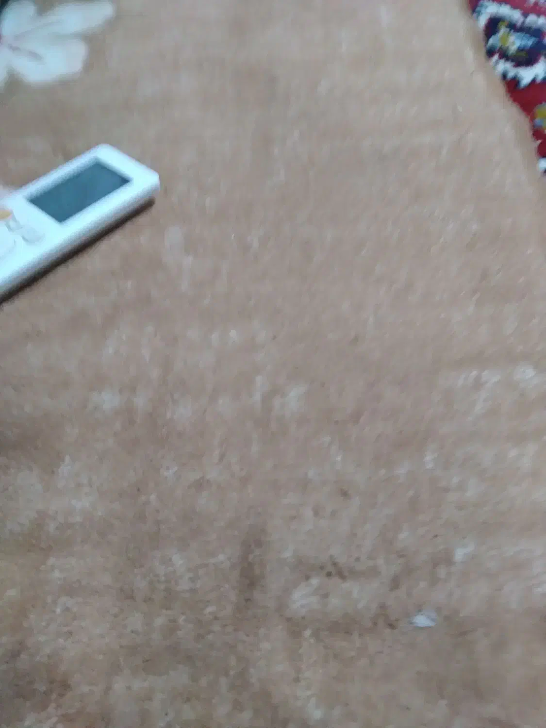 راهنمای|فعالیت داوطلبانه تحقیقاتی|نیمروز, |دیوار