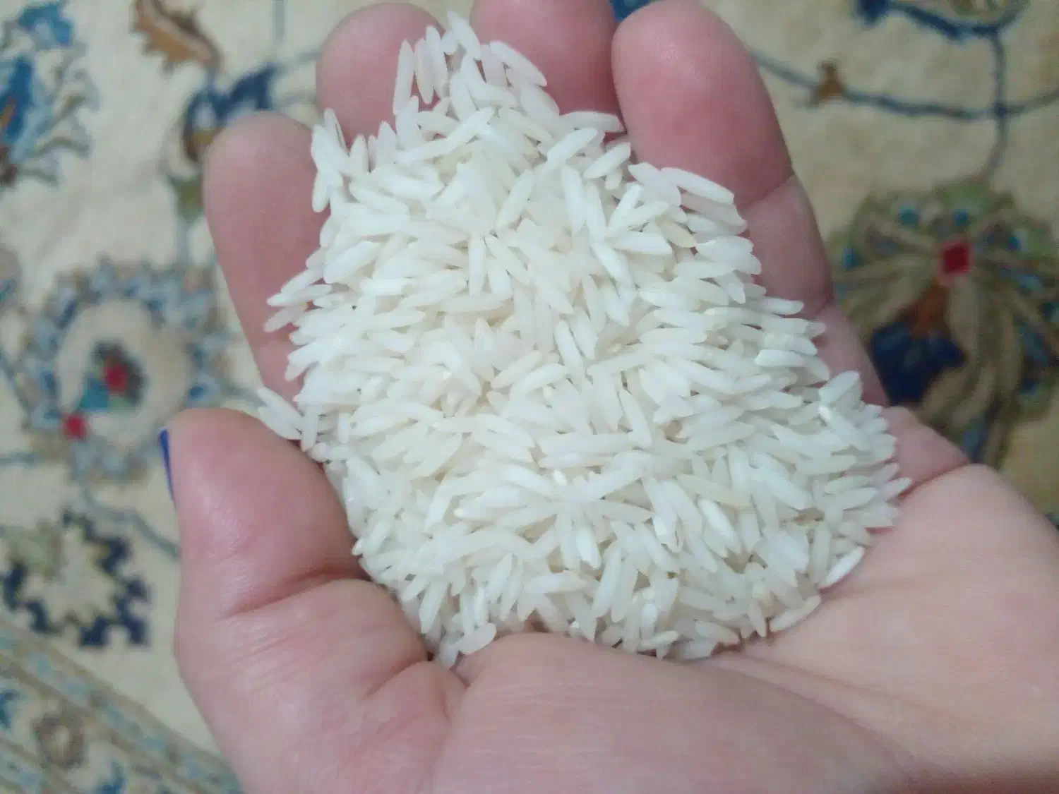 برنج هاشمی درجه یک|خوردنی و آشامیدنی|املش, |دیوار