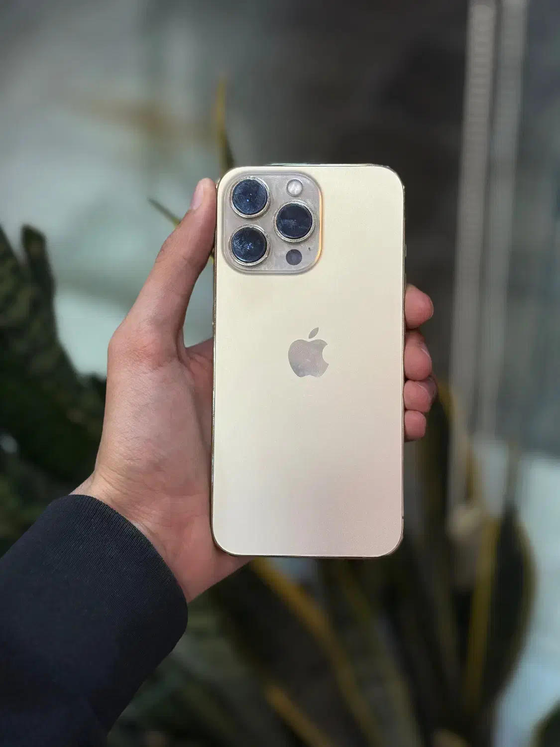 آیفون ۱۳ پرو|موبایل|لامرد, |دیوار