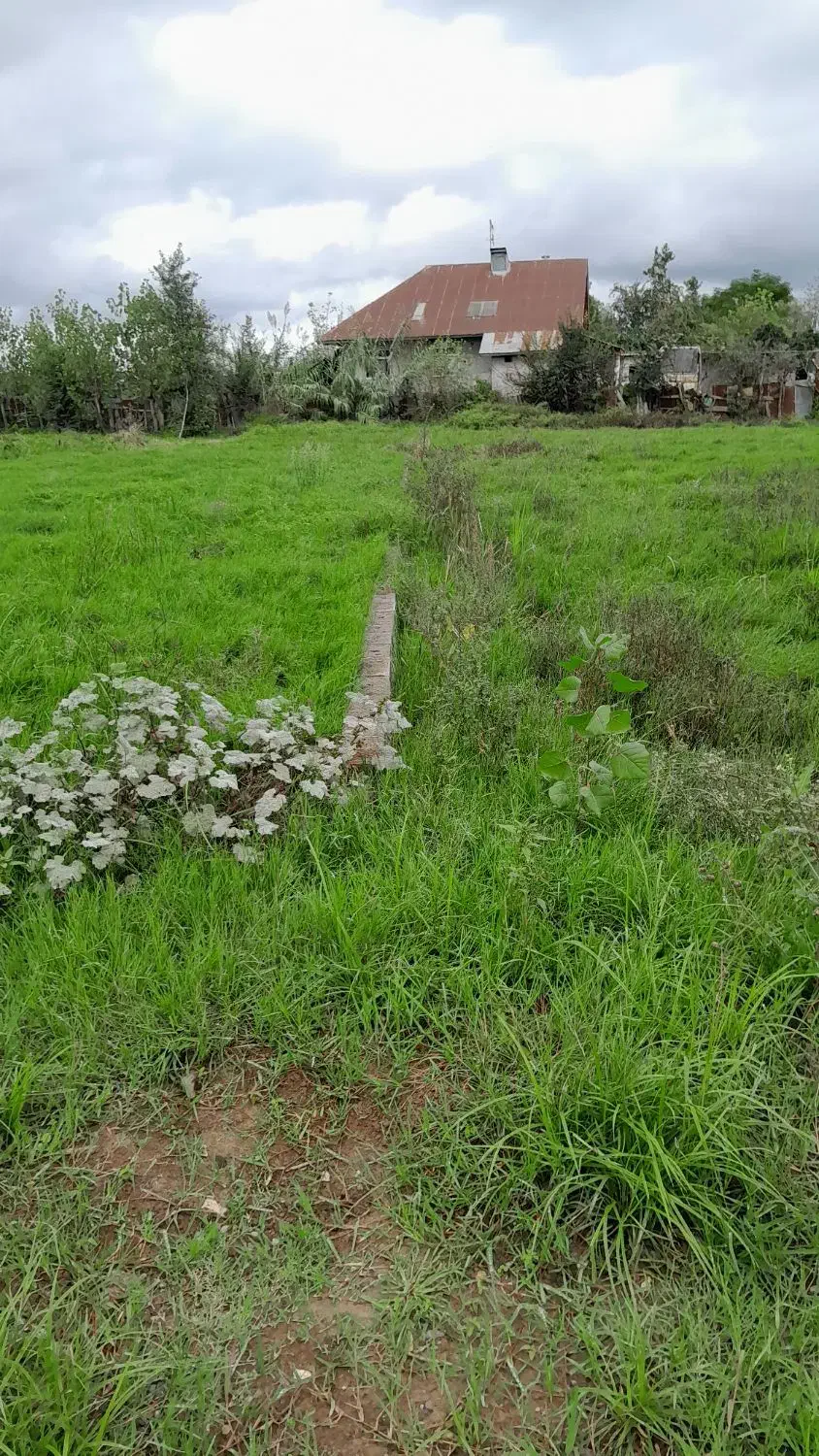 معاوضه زمین باخودرو|فروش زمین و ملک کلنگی|رشت, بیجارپس|دیوار