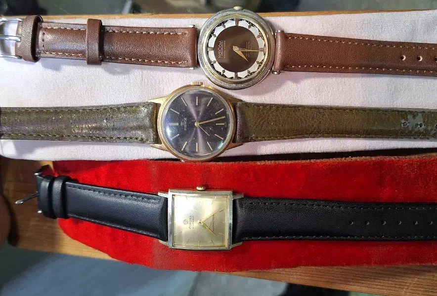 ساعت مچی کوکی سوئیس|ساعت|پردیس, فاز ۴|دیوار