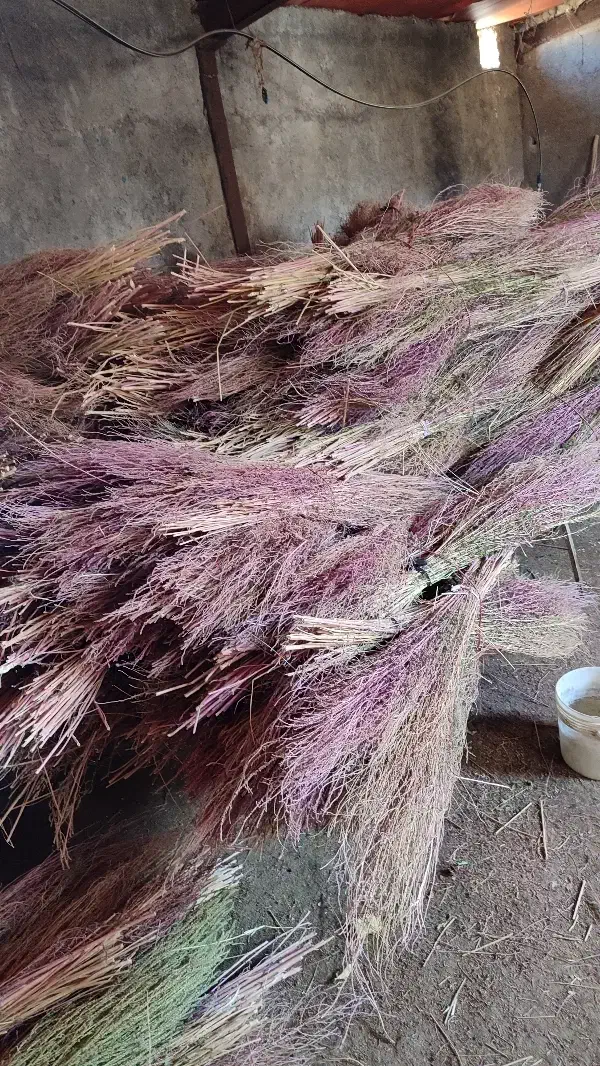 جارو|لوازم نظافت|خرمآباد, |دیوار