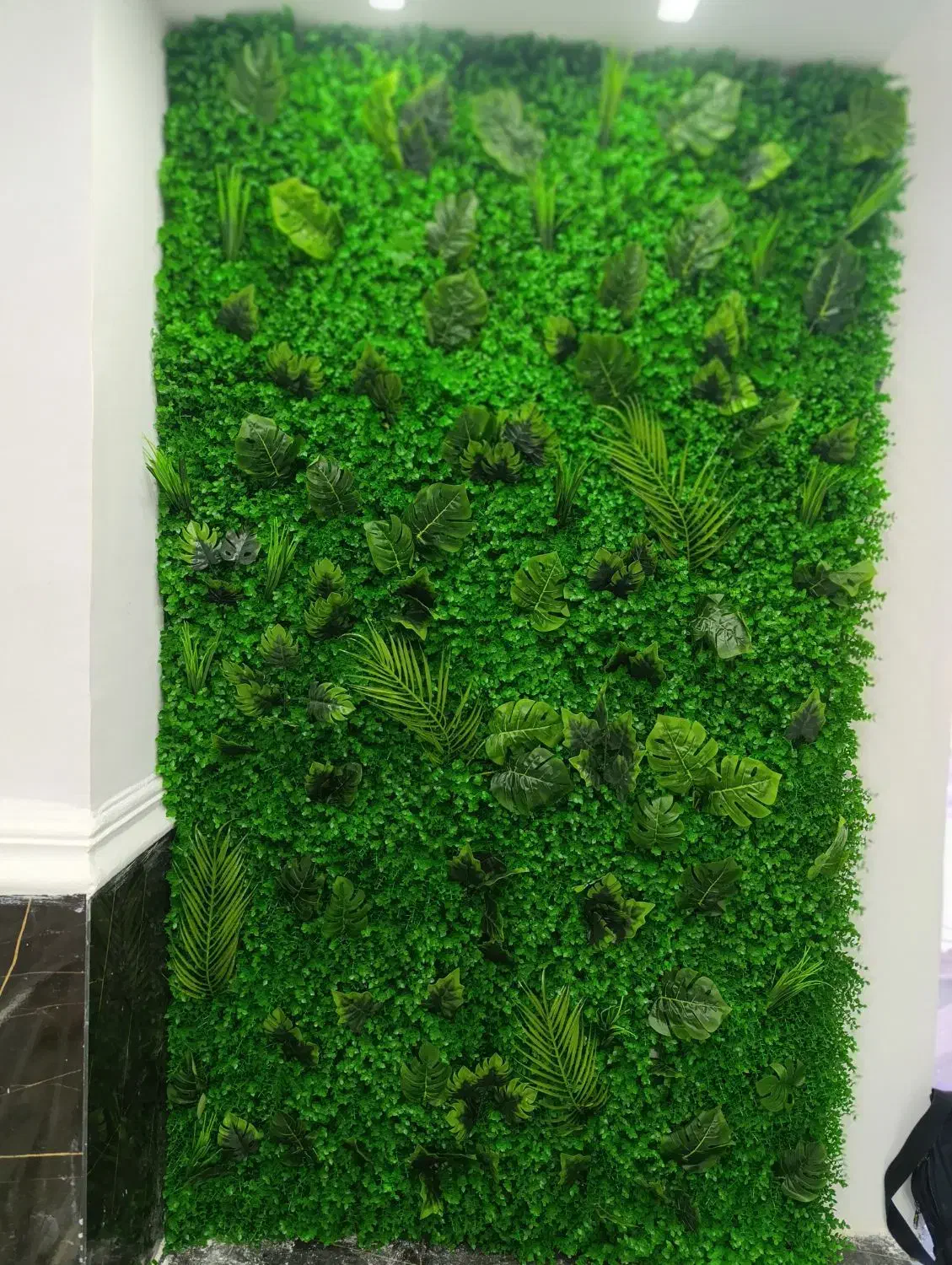 گرین وال و فنس برگی|مصالح و تجهیزات ساختمان|اهواز, آریاشهر|دیوار