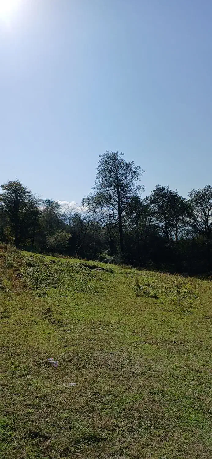 فروش زمین و خانه|فروش خانه و ویلا|آلاشت, |دیوار