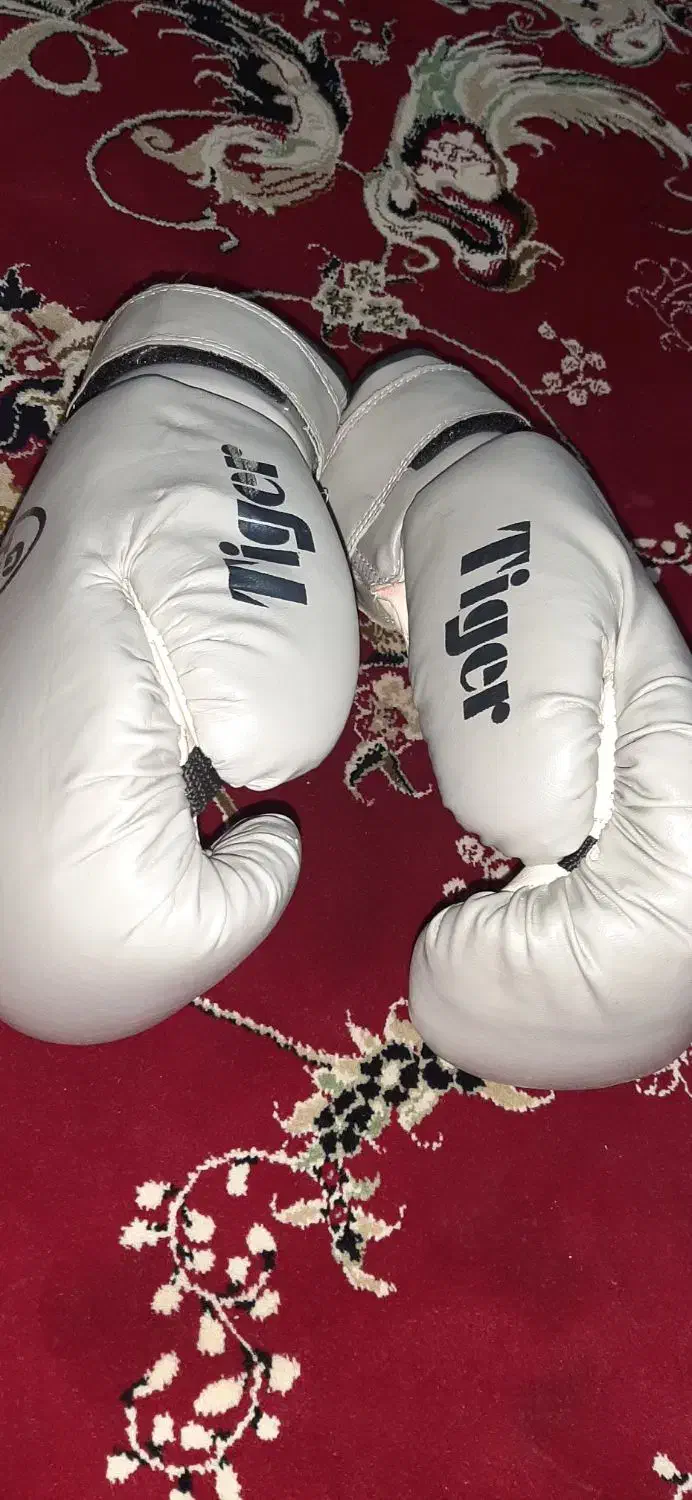 کیسه بوکس و دستکش|تجهیزات ورزشی|شوشتر, |دیوار