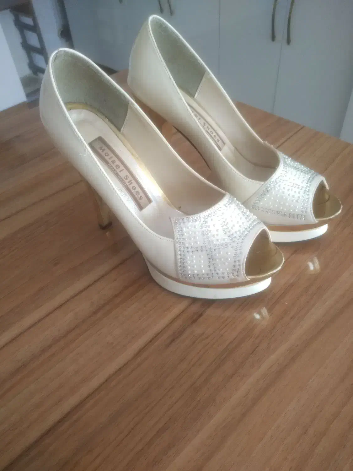 کفش مجلسی|کیف، کفش، کمربند|سیلاخور, |دیوار