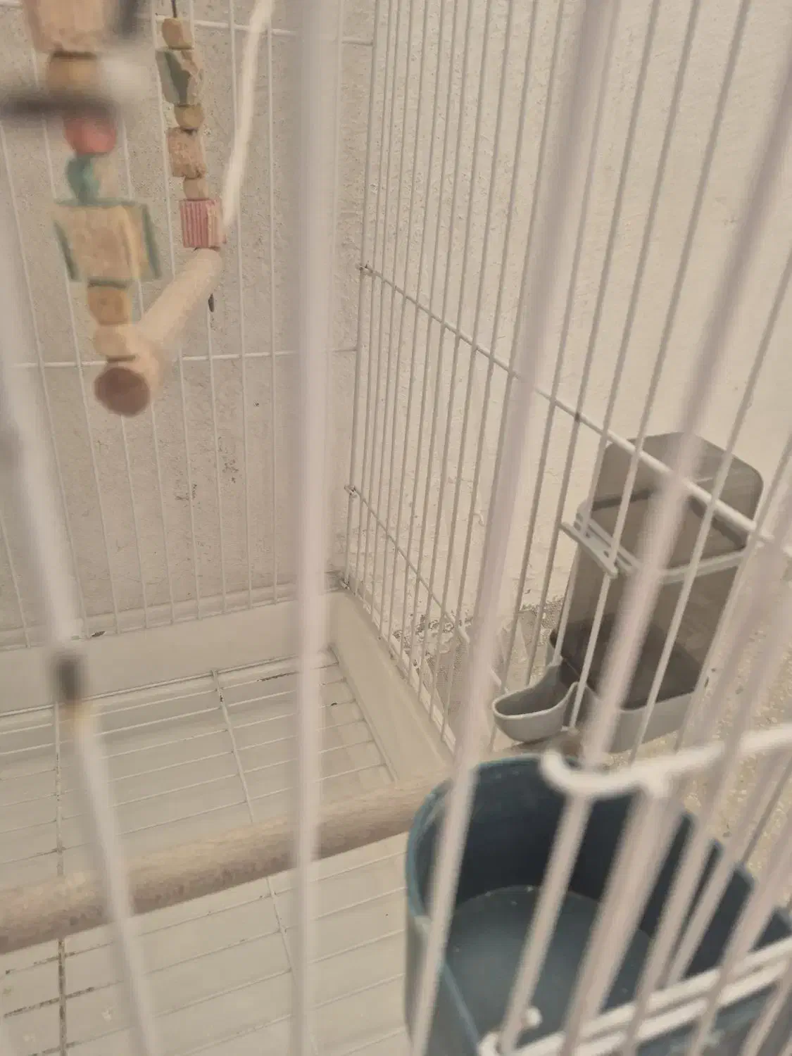 قفس به همراه دو تا جا غذا و جا آب و...|لوازم جانبی حیوانات|قرچک, پارس سرام|دیوار