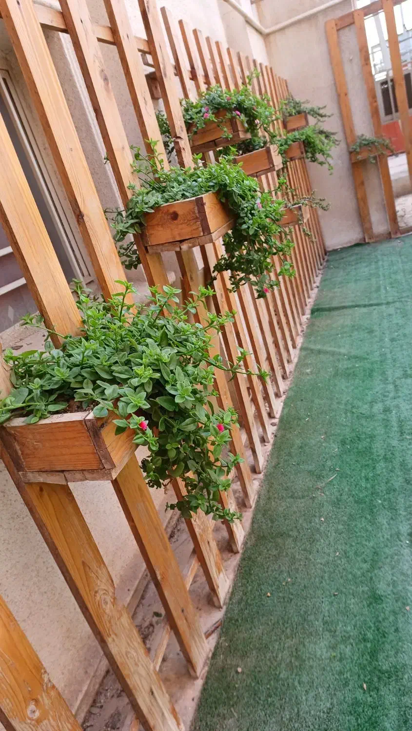 گیاهپزشک|گل و گیاه طبیعی|اهواز, گلستان|دیوار