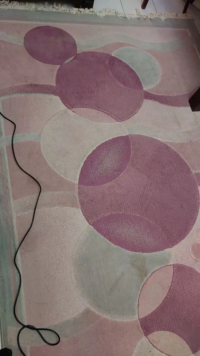 فرش ۶ متری|فرش|تهران, صد دستگاه|دیوار