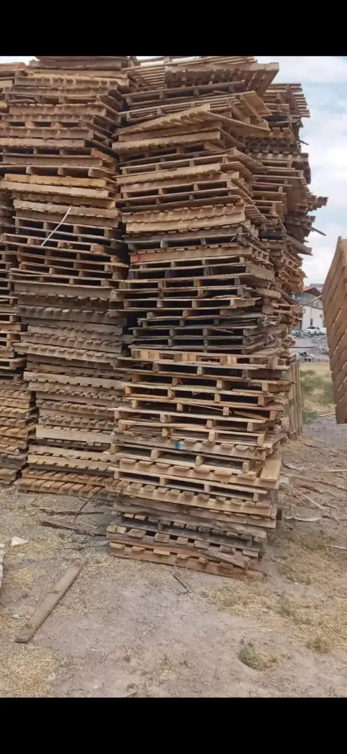 فروش تعدادی پالت|عمده‌فروشی|بردسیر, |دیوار