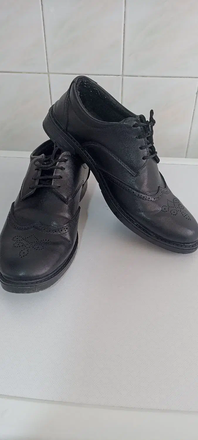 کفش مردانه|کیف، کفش، کمربند|سنندج, |دیوار