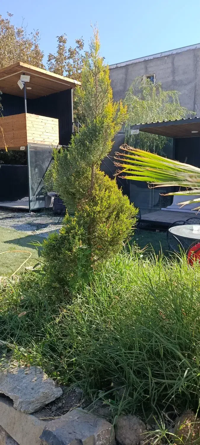 حراج گل وگیاه|گل و گیاه طبیعی|سنندج, |دیوار