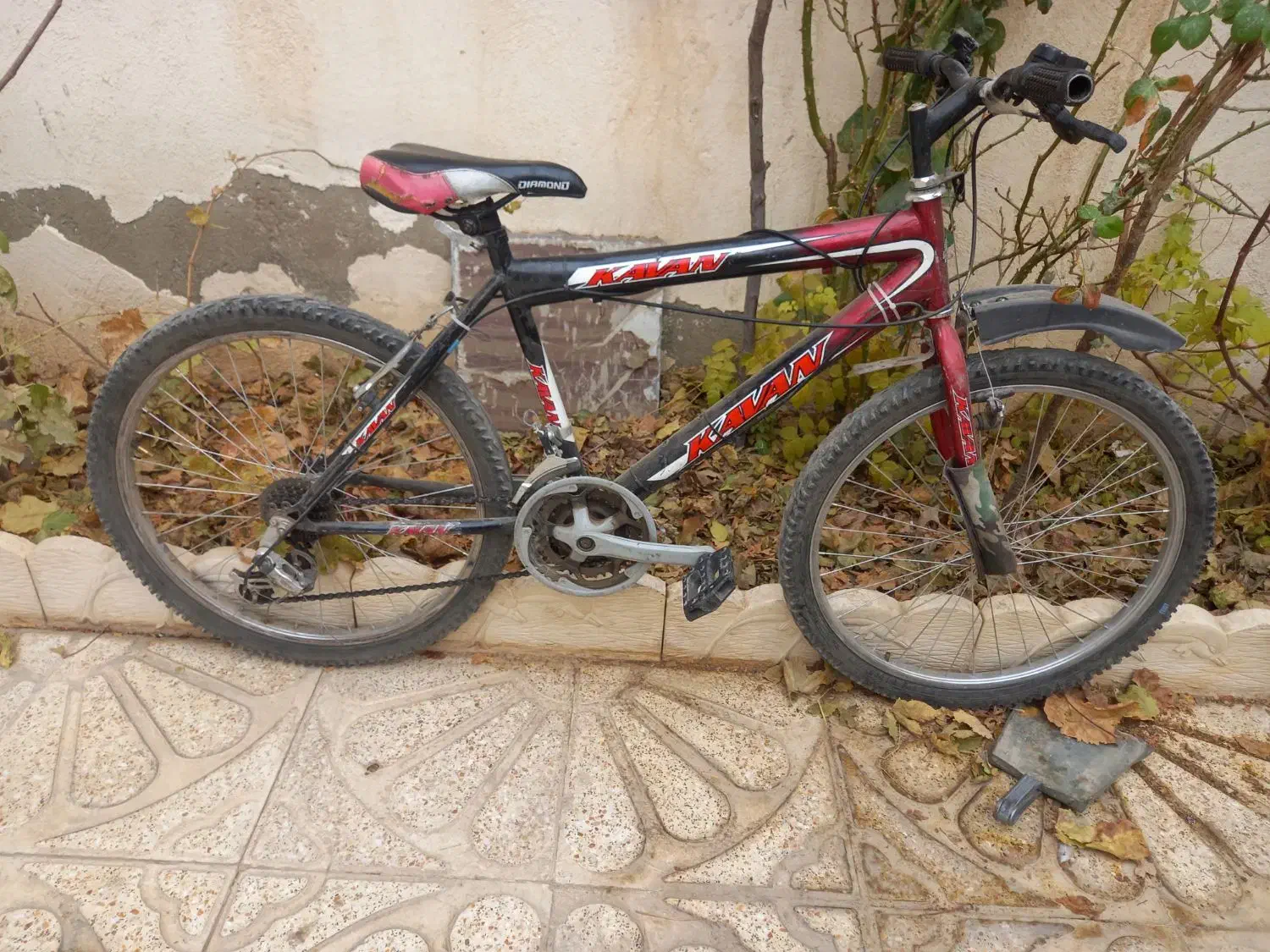 دوچرخه 24|دوچرخه، اسکیت، اسکوتر|بهار, |دیوار