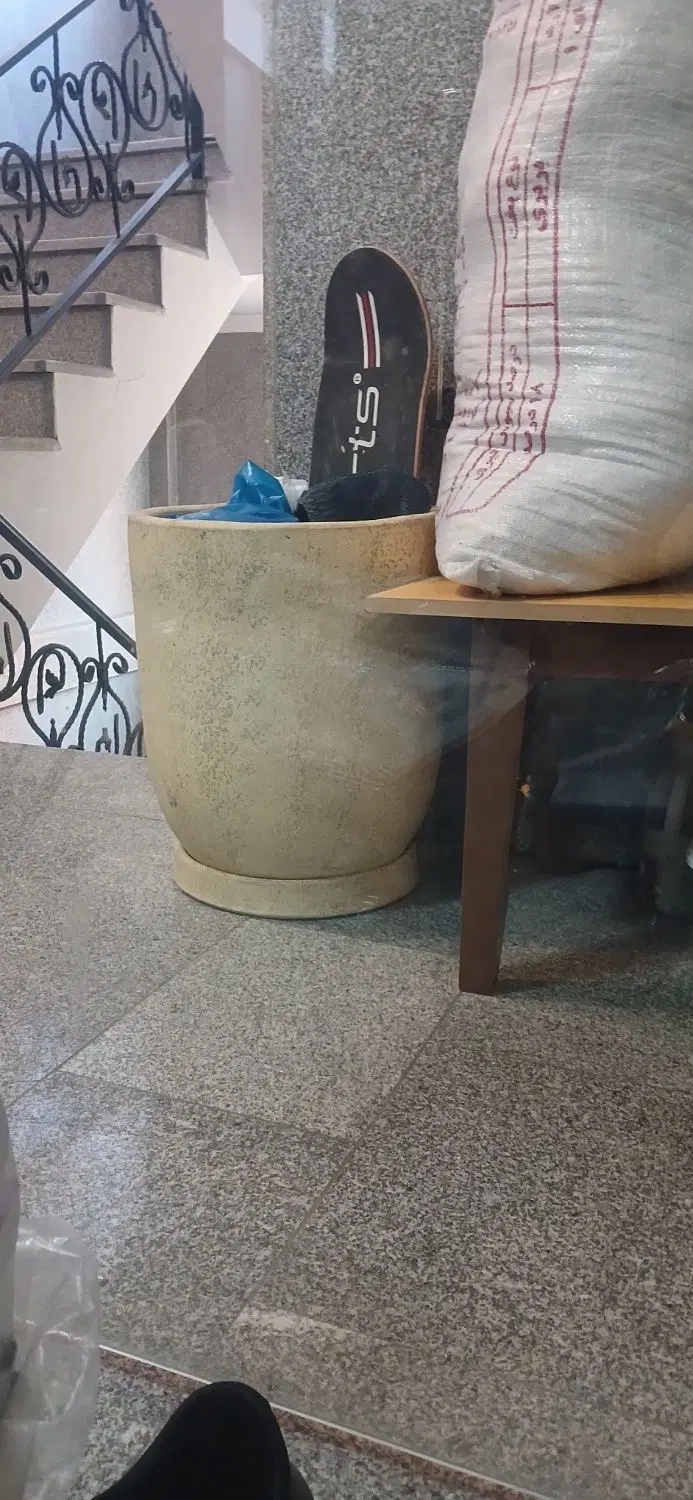 گلدان|گل و گیاه طبیعی|تهران, مخصوص|دیوار