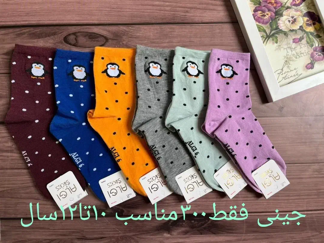 فروش عمده انواع جوراب ،پاپوش|لباس|فولادشهر, B2|دیوار