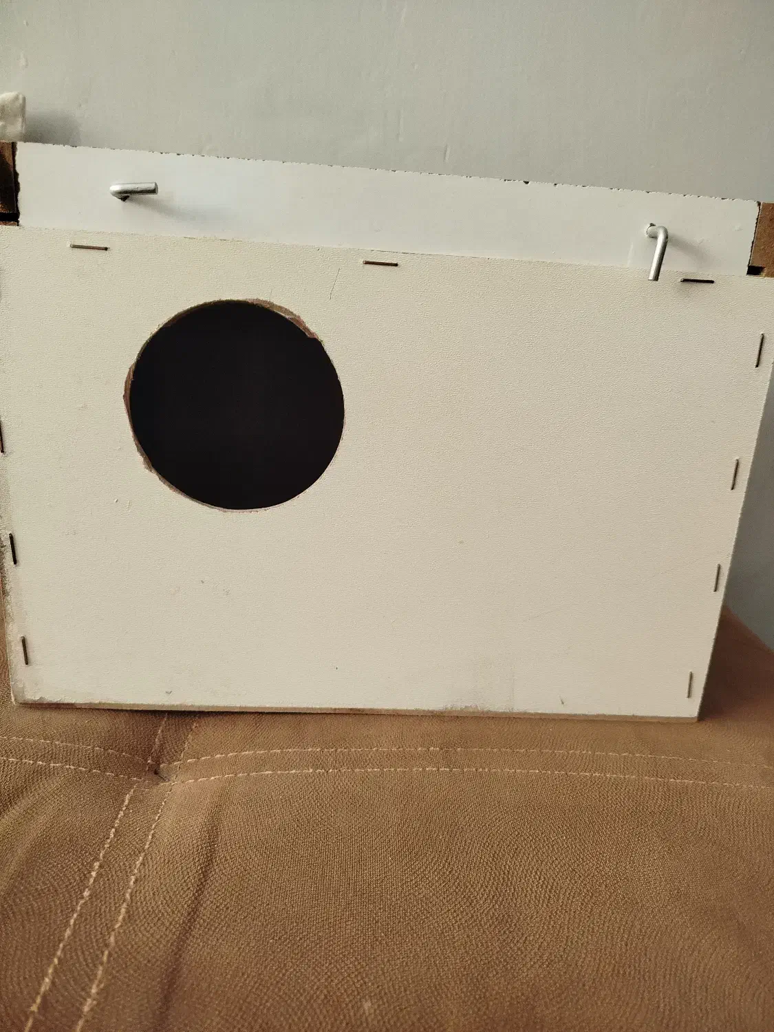 لانه عروس هلندی|لوازم جانبی حیوانات|مرودشت, مسجد رسول‎|دیوار