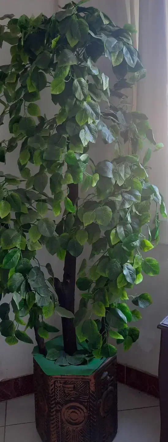 فروش درخت مصنوعی تزئینی طرح سرباز پارسی|گل مصنوعی|گرگان, |دیوار